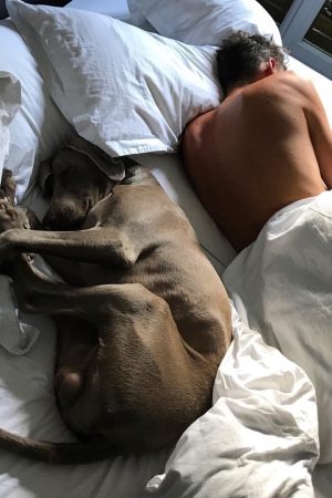 Et si tu osais appeler ce gars discret de Saintes pour une rencontre sexe brûlante ? Théo - rencontre-Minet-Saintes